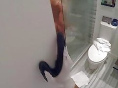 Robber fucks hot teen in bathroom