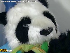 Dirty sex to cure a sick panda