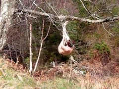 Naked self-bondage in the woods gone wrong.